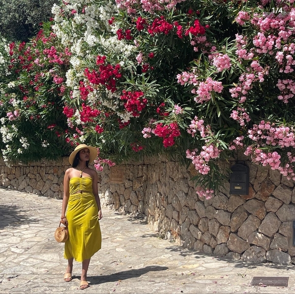 Zara Dress-Sold - Picture 2 of 15